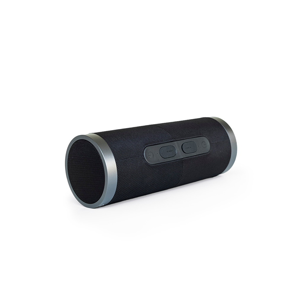 Duo Fusion Mini Speaker